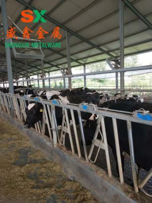 Στάβλος βοοειδών Farm Beef